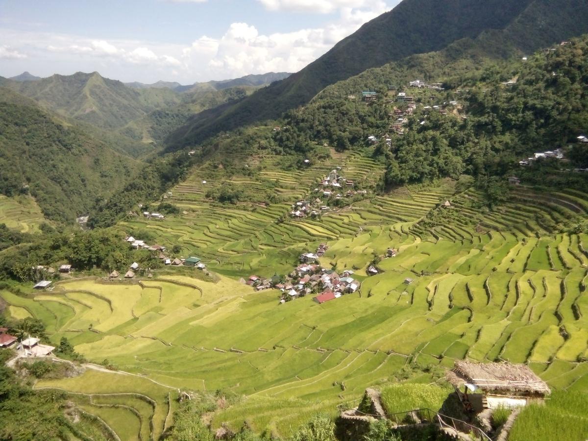 Batad Cristina'S Main Village Inn & Restaurant Банауе Екстериор снимка