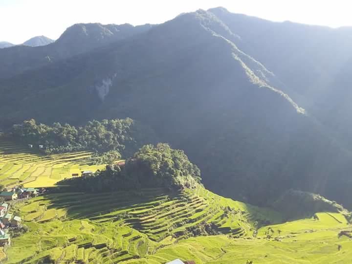 Batad Cristina'S Main Village Inn & Restaurant Банауе Екстериор снимка